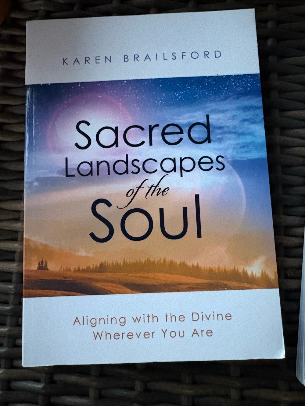 Sacred Landscapes of the Soul - Blue and Tan Book Cover